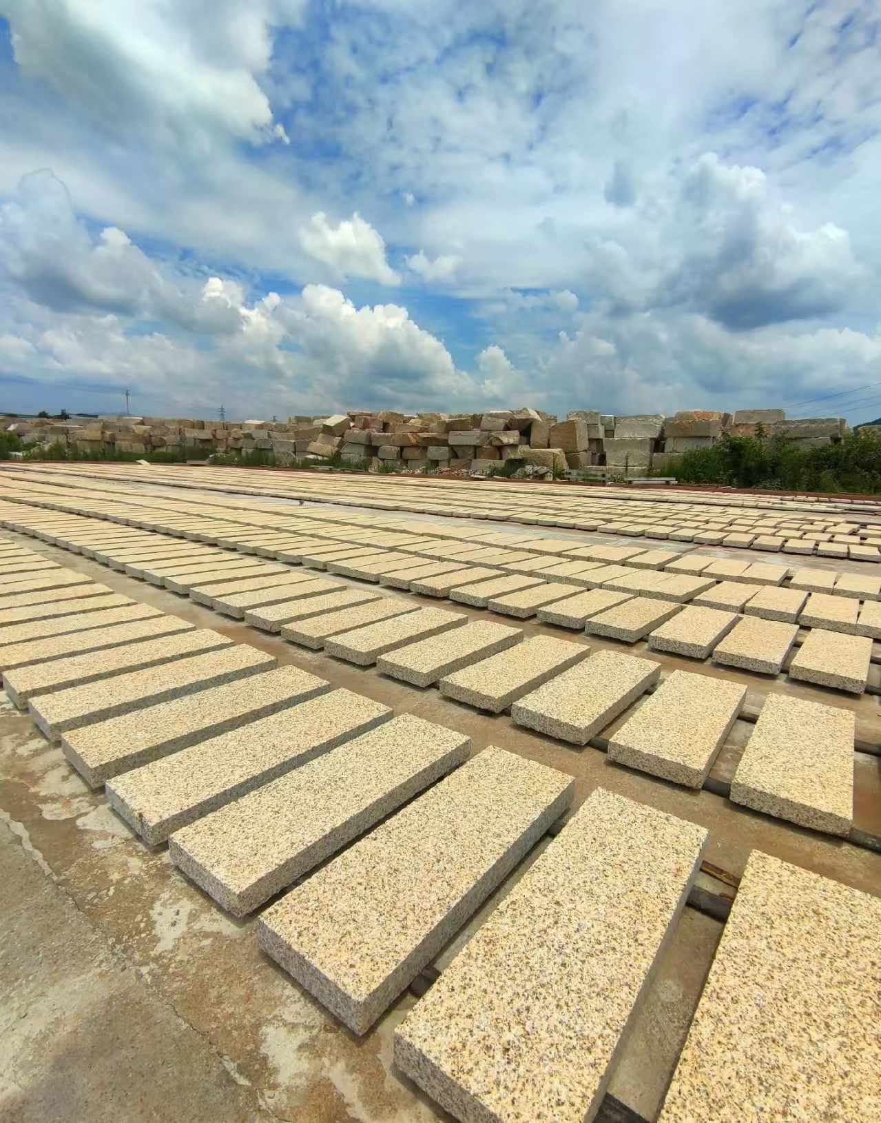 阳江 黄金麻荔枝面花岗岩石材地铺石防护中