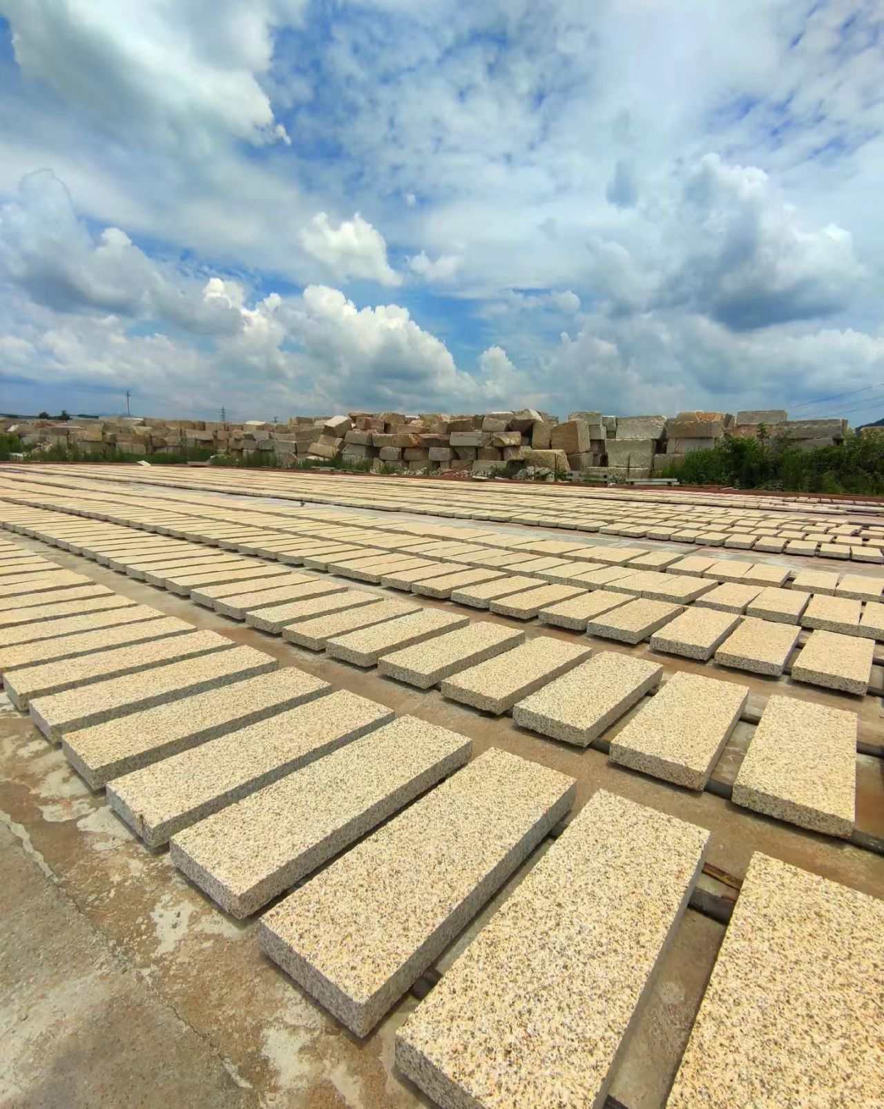 阳江 黄金麻花岗岩荔枝面地铺石防护中