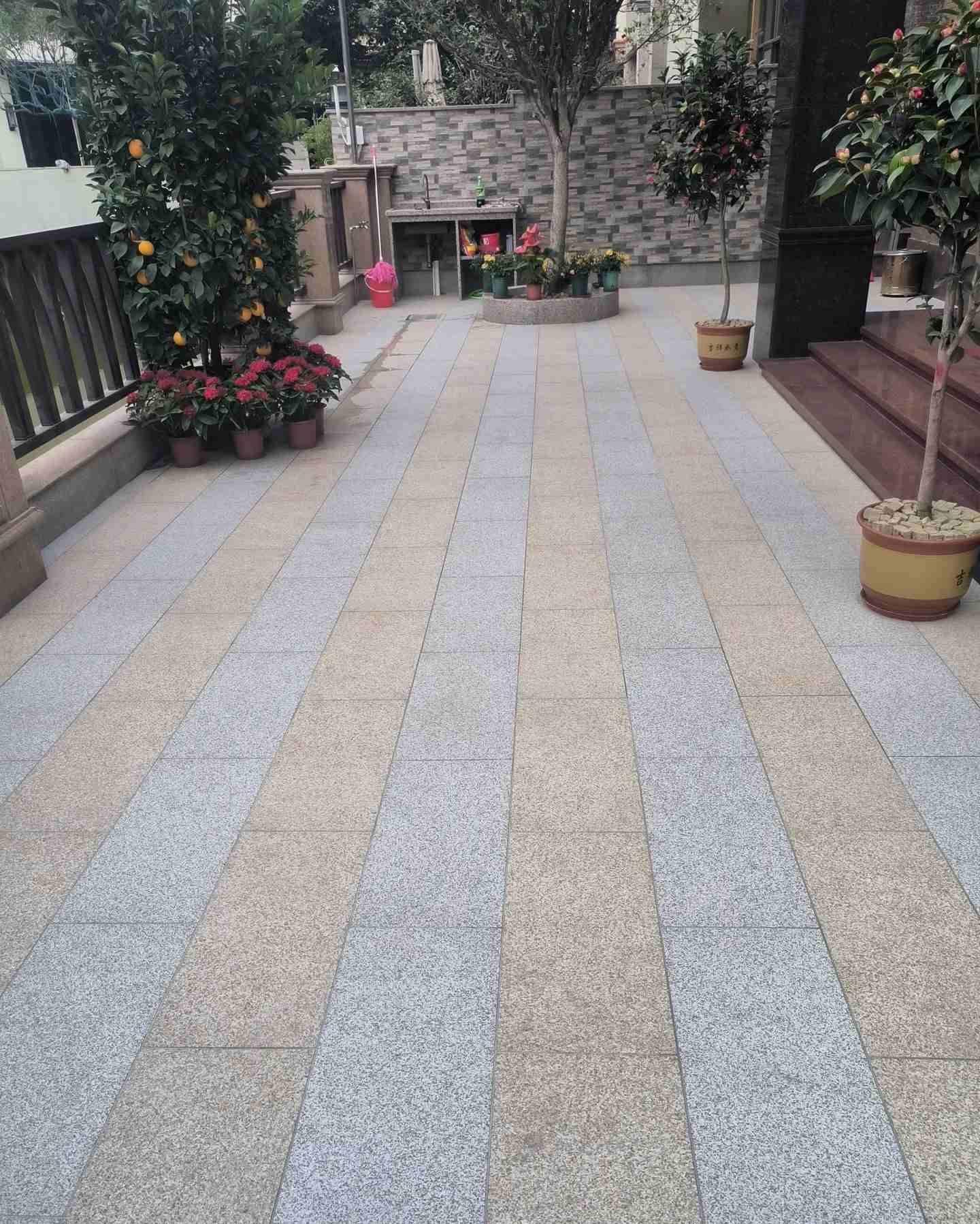 阳江 黄金麻白麻荔枝面庭院铺装展示